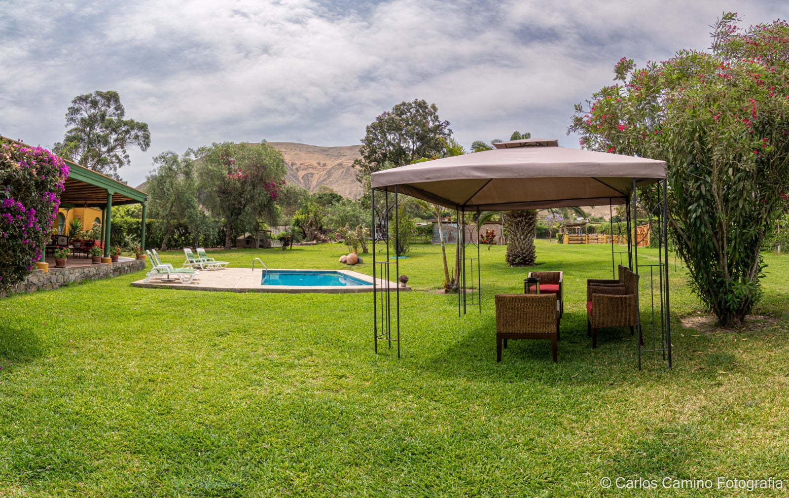 d2cc42e0-46bc-4476-9898-eb8aac3bd0da