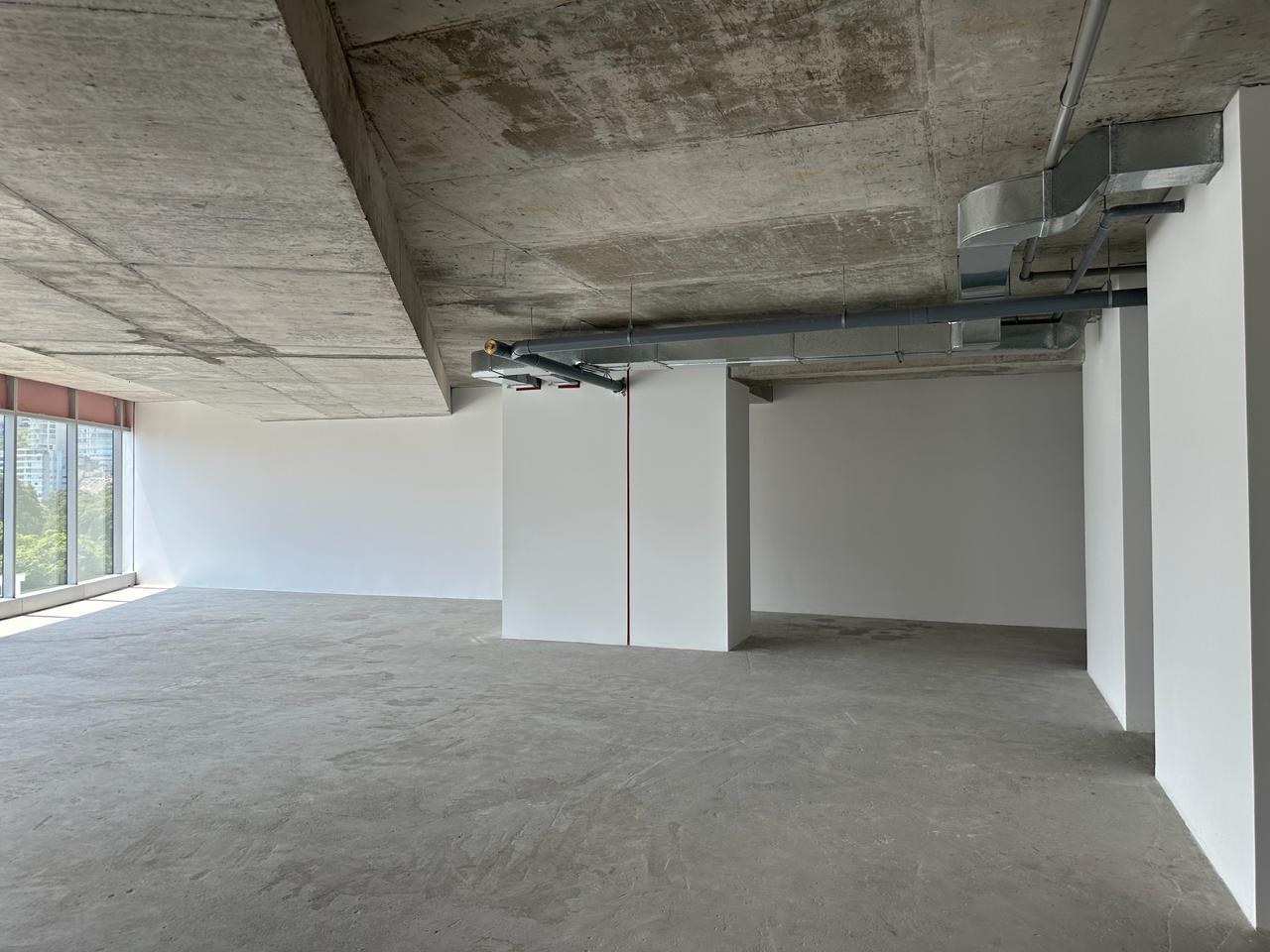 Imagen de WhatsApp 2024-06-20 a las 13.03.38_29461117