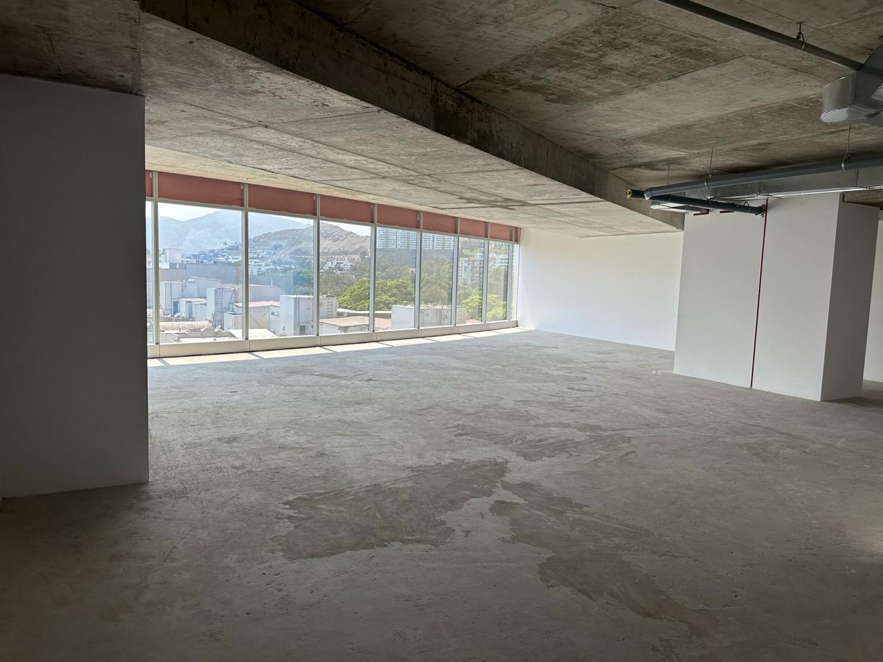 Imagen de WhatsApp 2024-06-20 a las 13.03.38_dab016ce