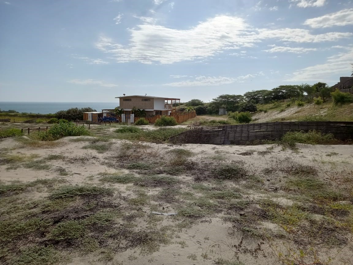 Imagen de WhatsApp 2024-06-20 a las 18.46.22_a687fb0e