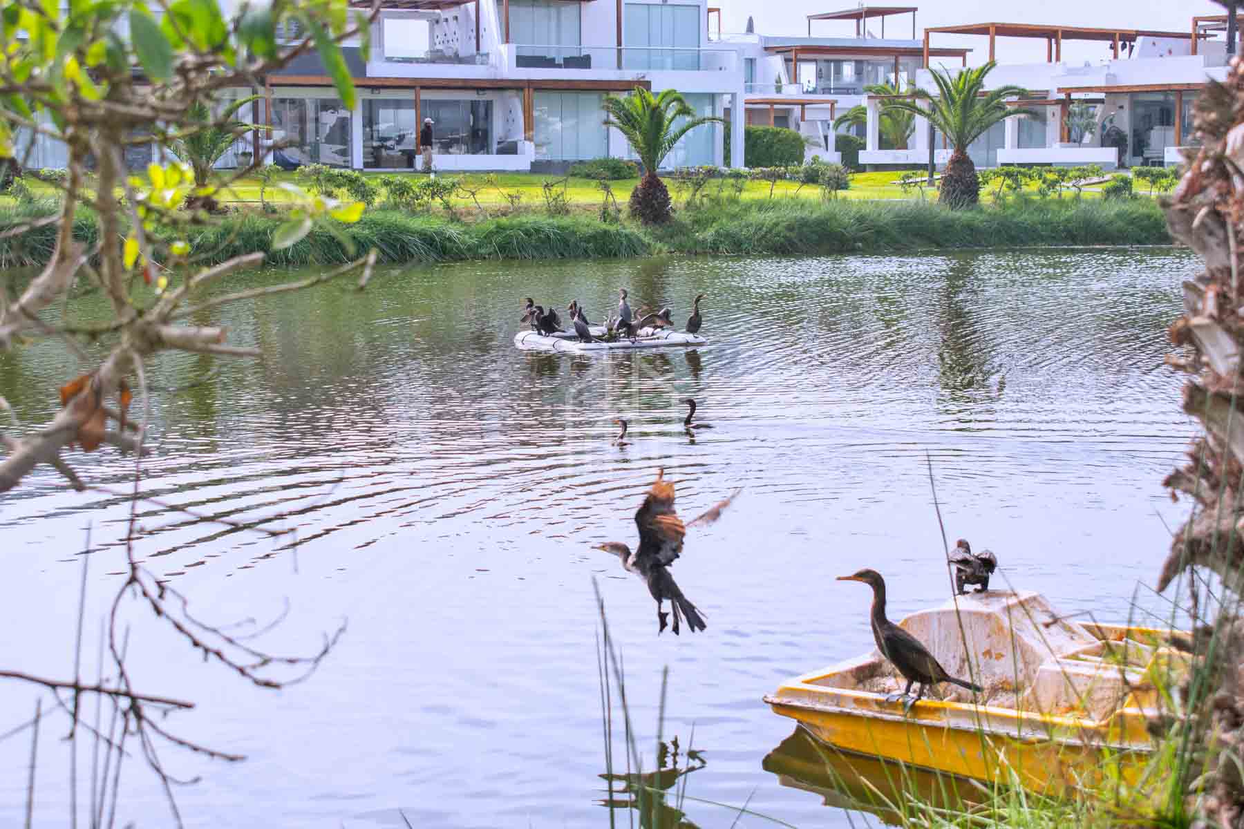 terreno de playa en venta puerto madero-8