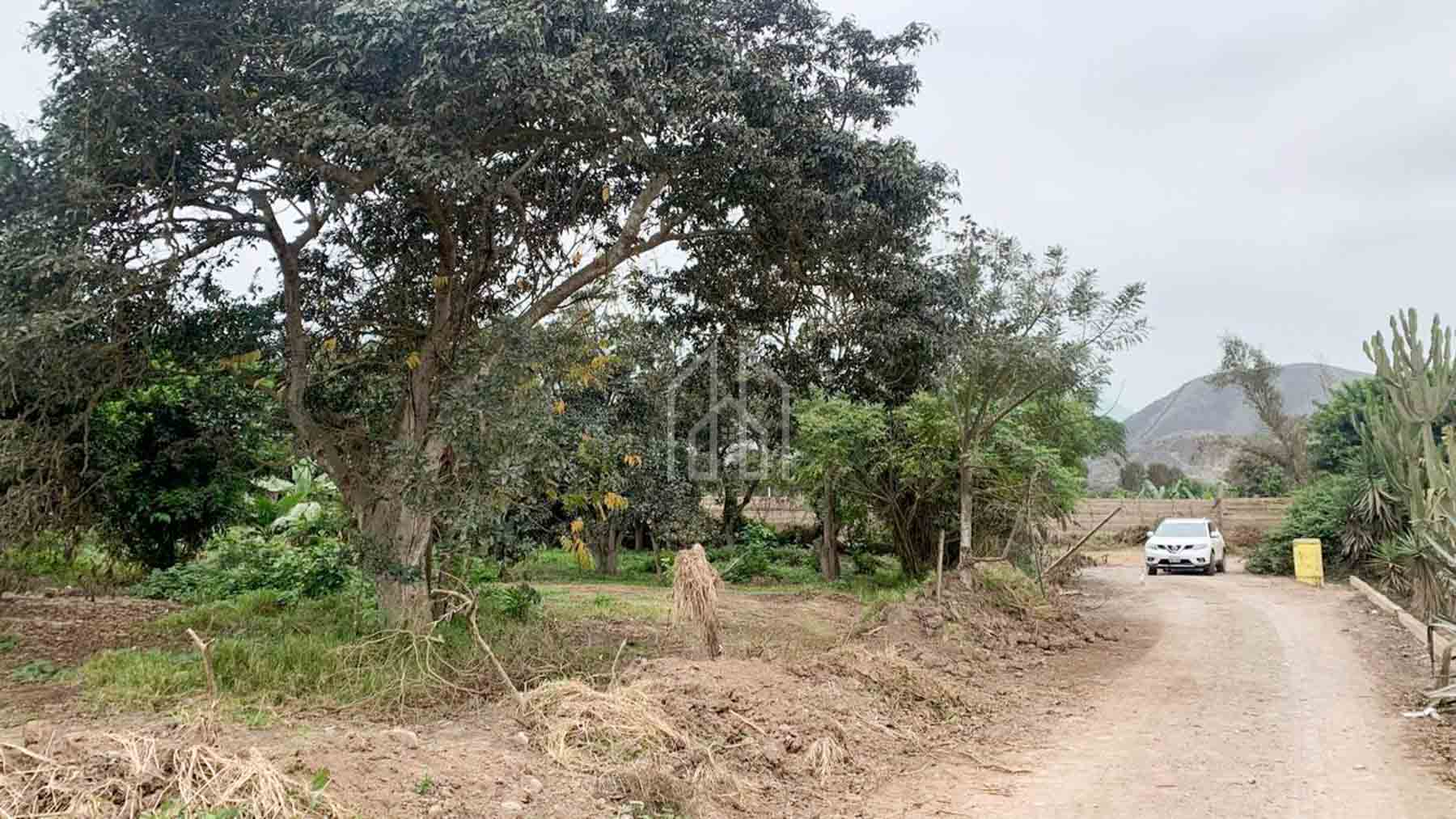 Terreno en Pachacamac - Río Lurín