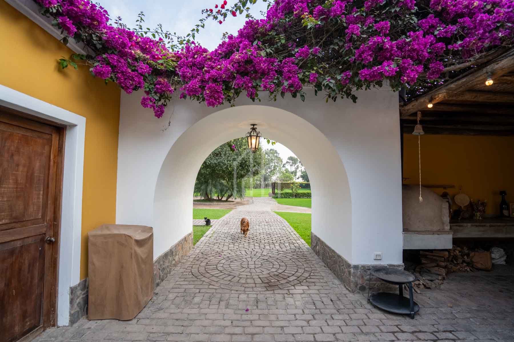 Casa Hacienda en Venta Pachacamac-23