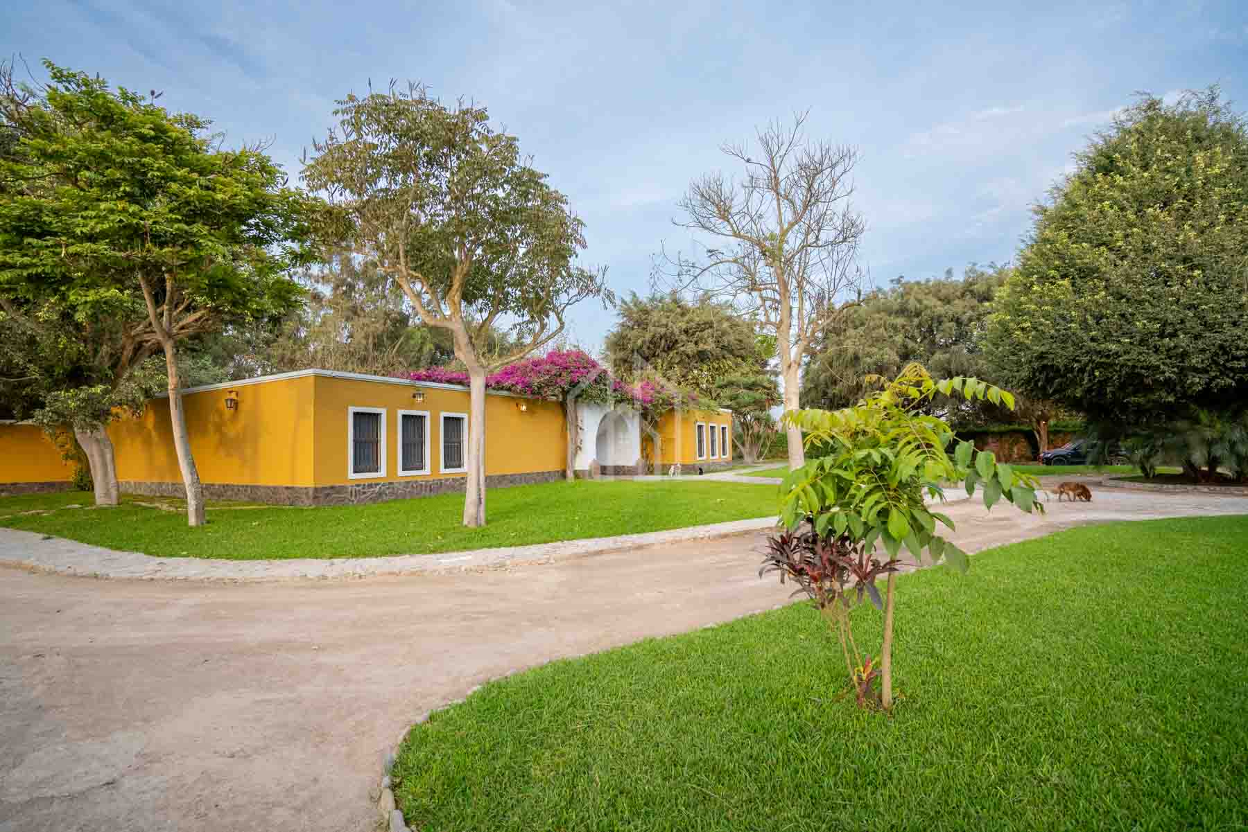 Casa Hacienda en Venta Pachacamac-31