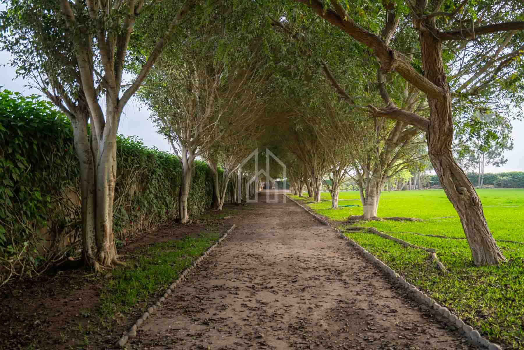 Casa Hacienda en Venta Pachacamac-41