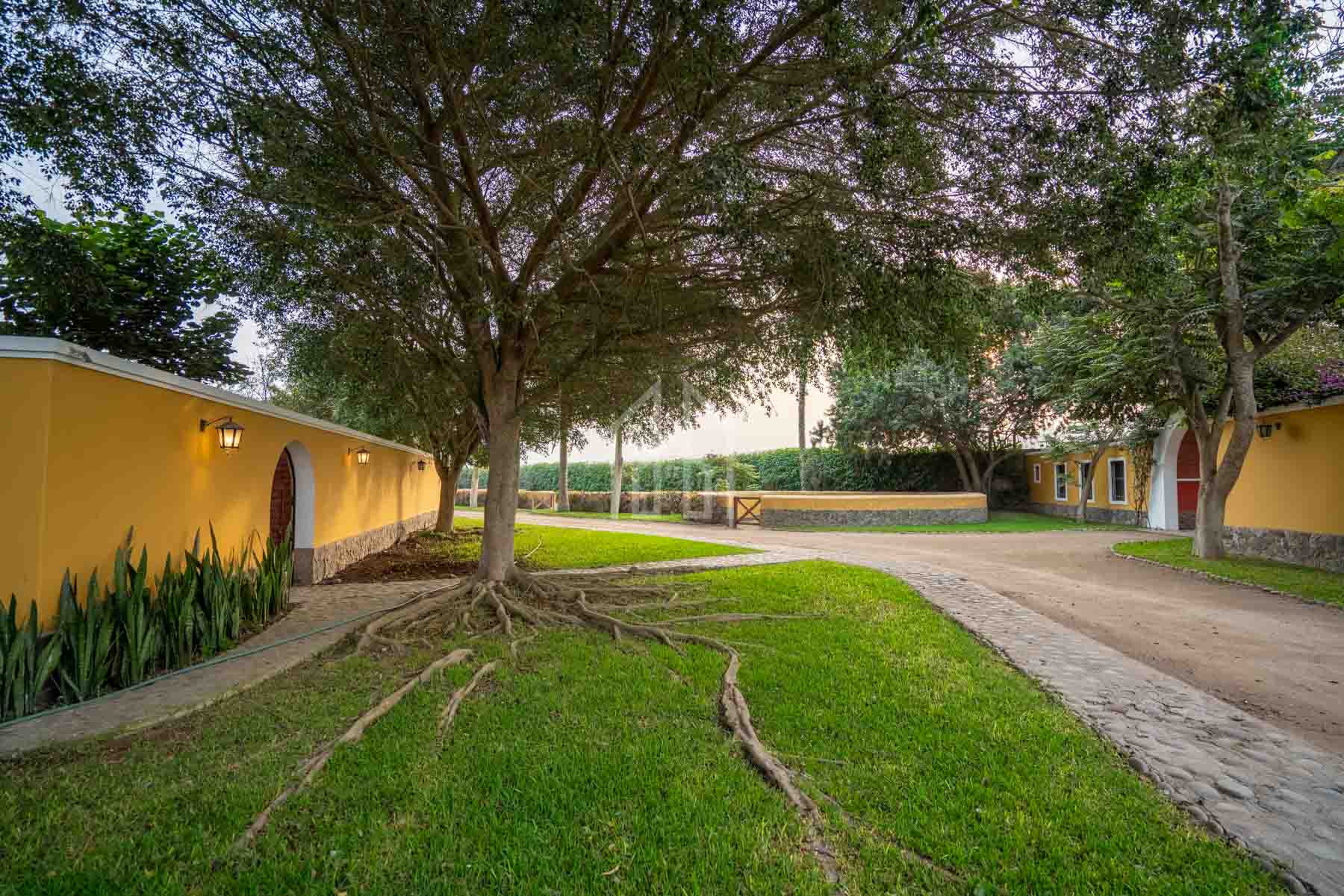 Casa Hacienda en Venta Pachacamac-49