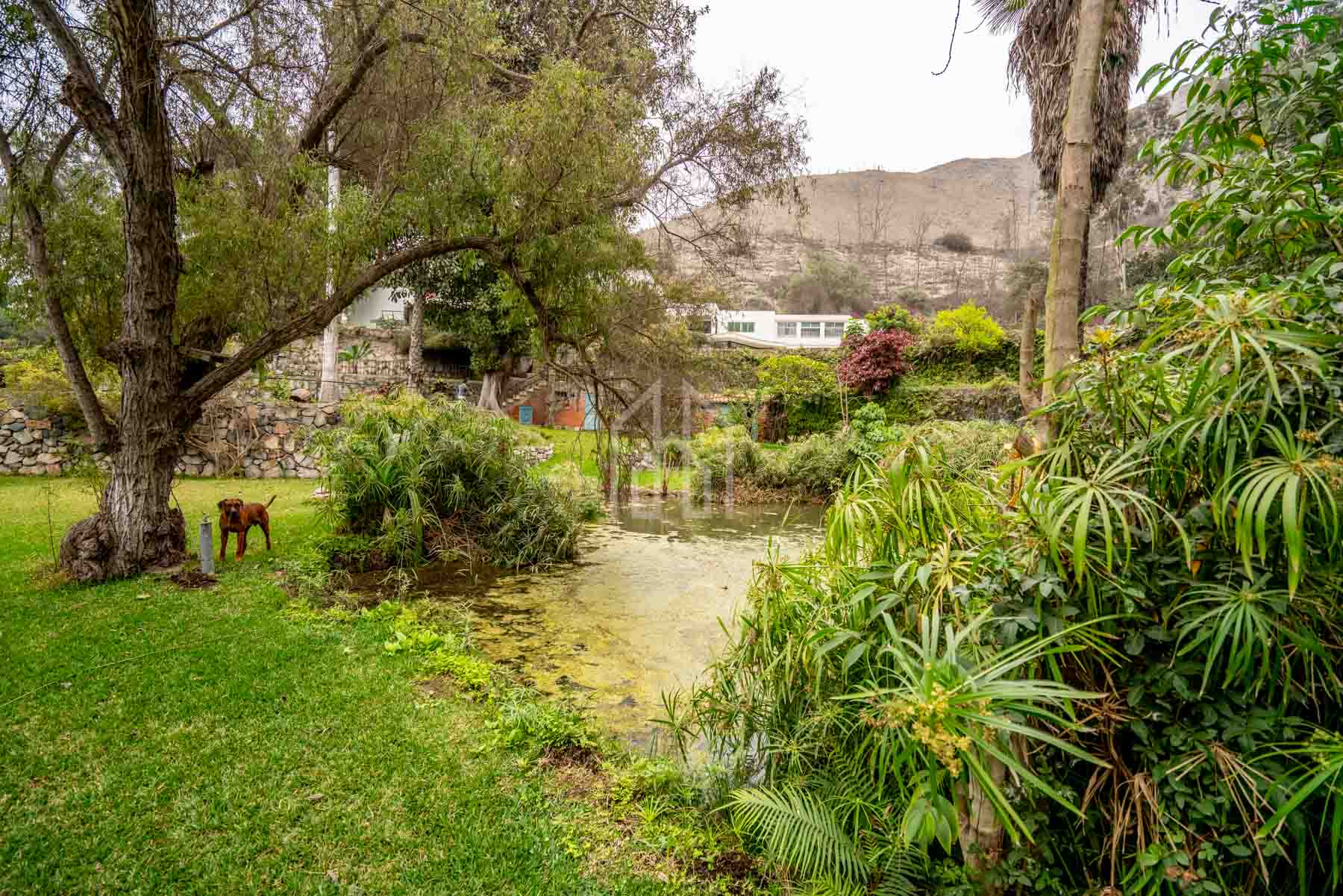 casa hacienda en venta la molina-45