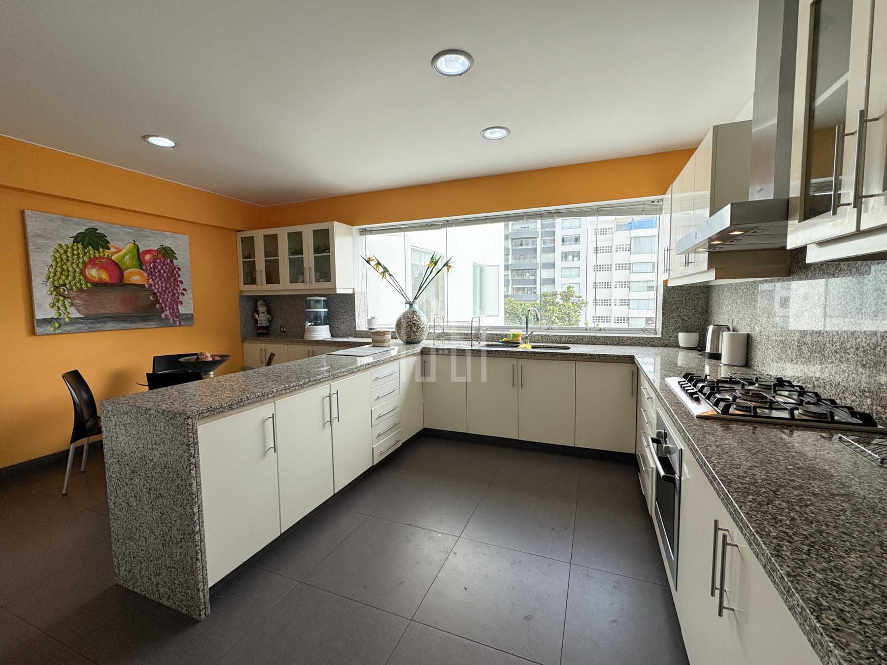 departamento en venta o alquiler los laureles san isidro-13