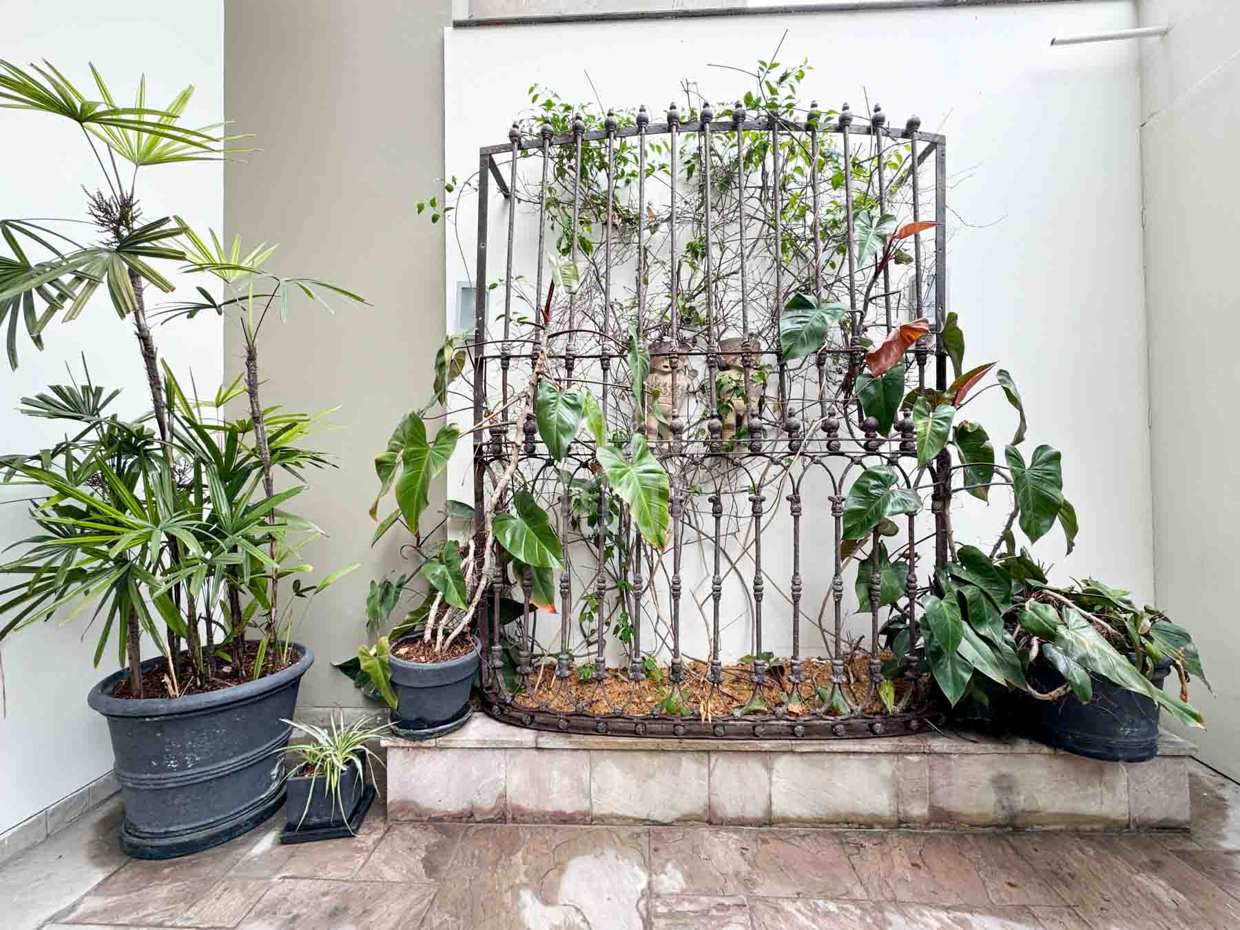 cara ph the grand-21