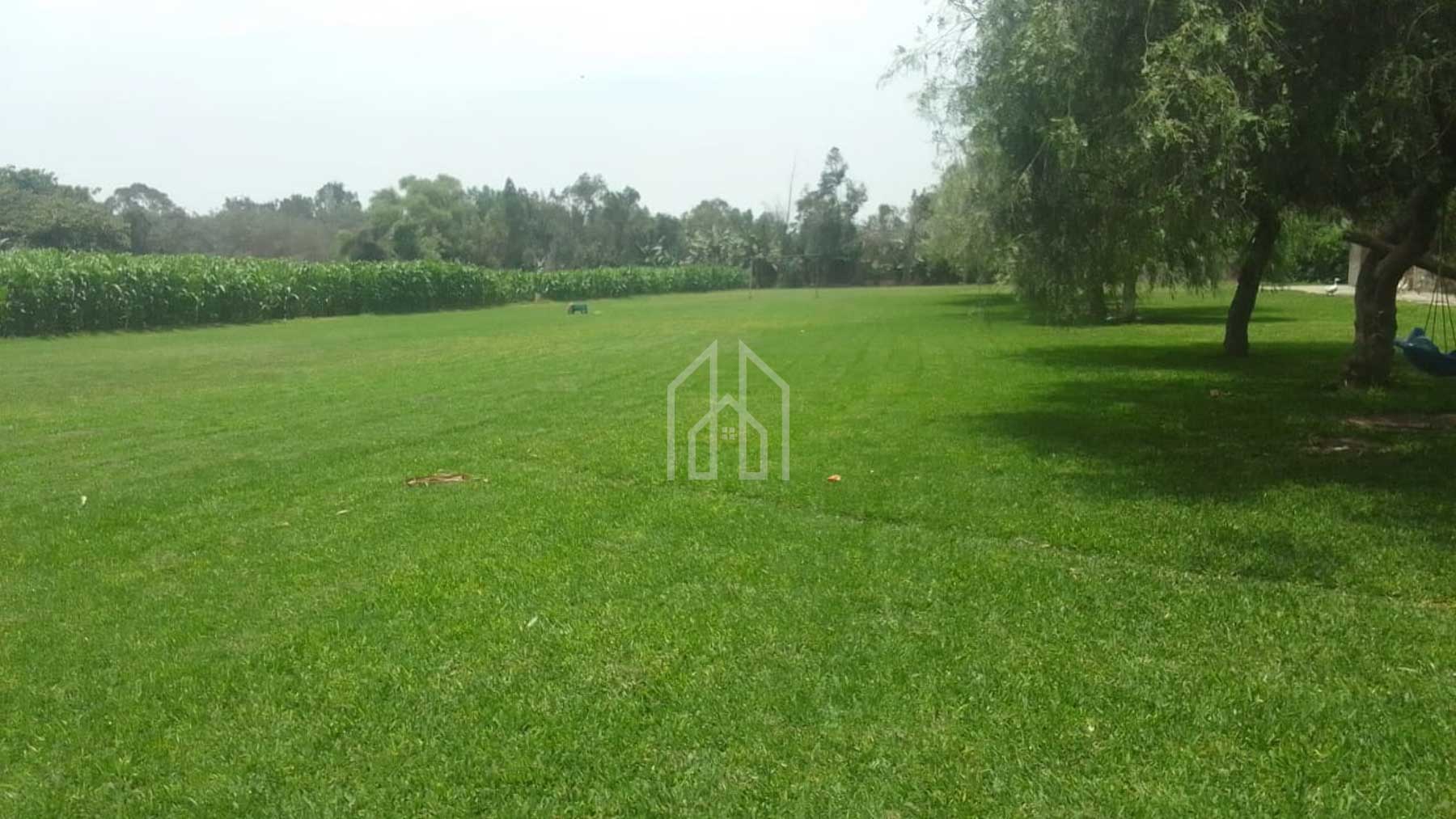 Terreno Amplio en Pachacamac