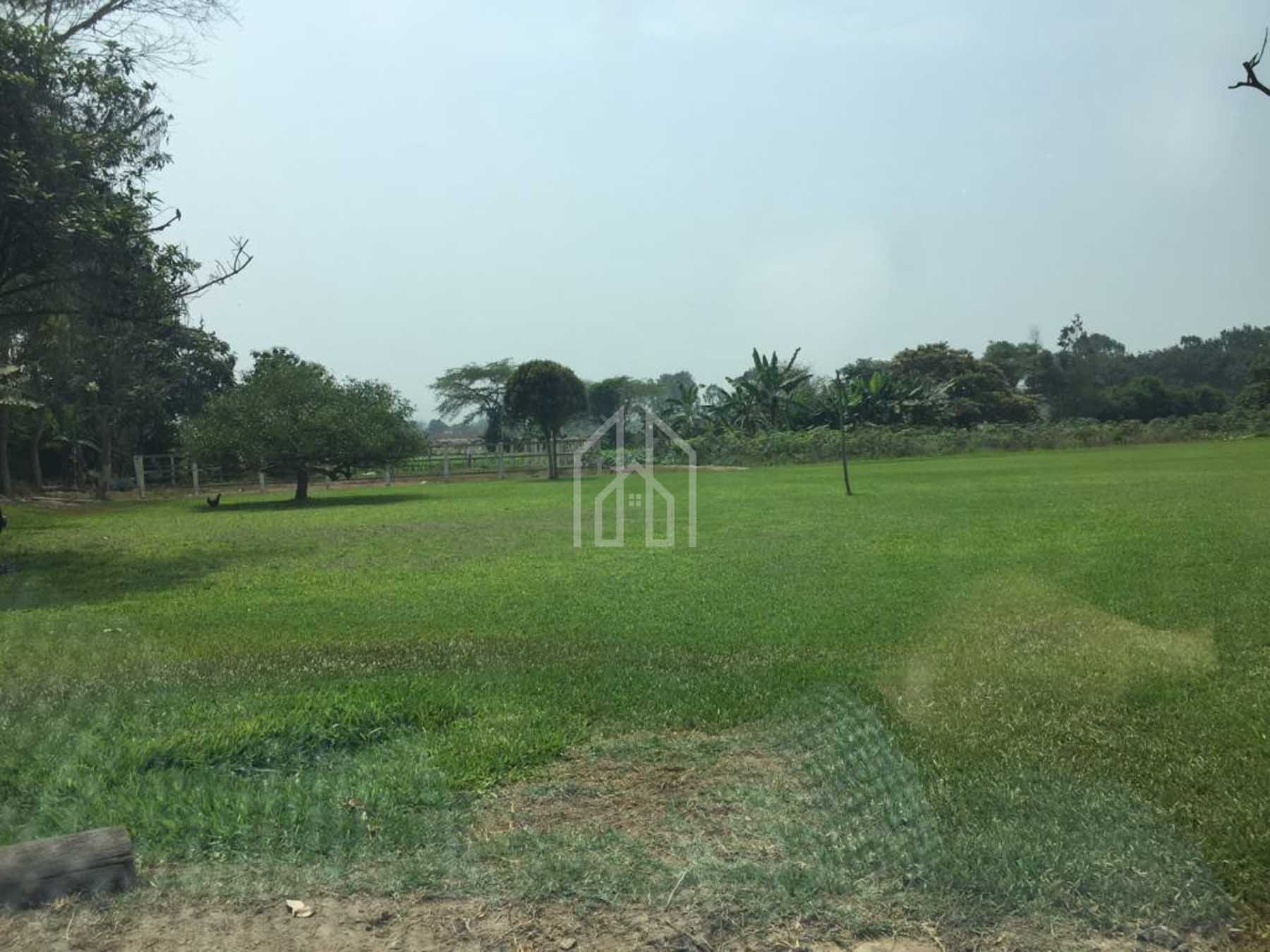 terreno en venta en pachacamac 9110m2-8