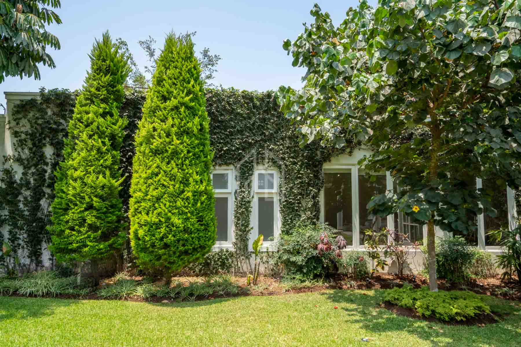 portada male reel souza-21