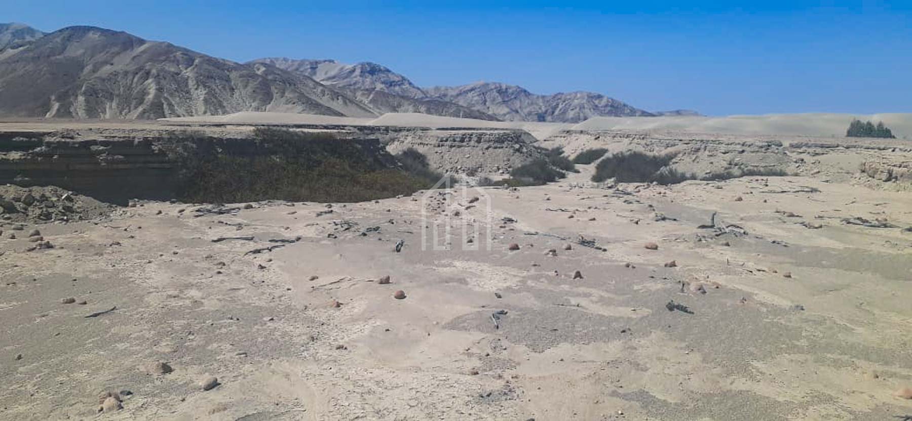 terreno en venta 1400 has en Ica-11