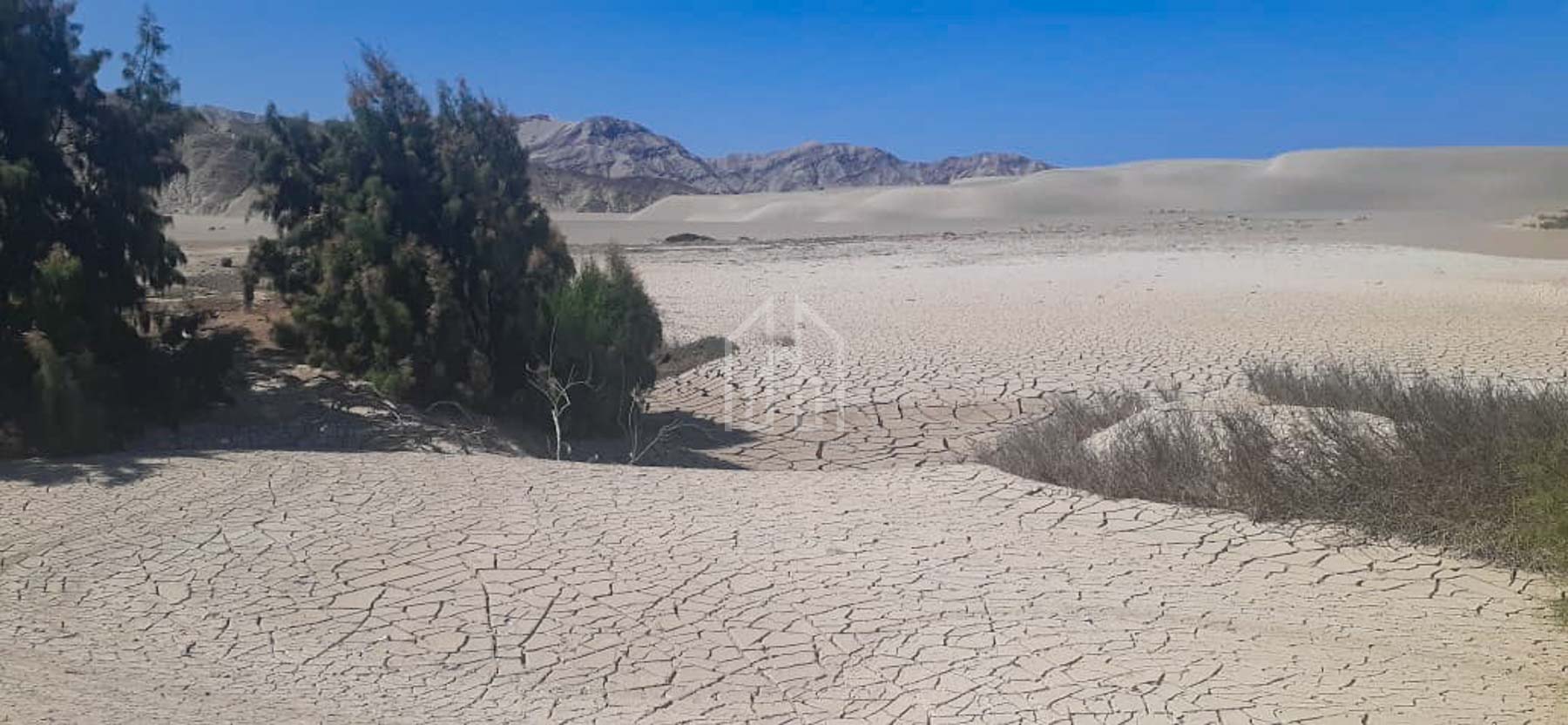 terreno en venta 1400 has en Ica-13