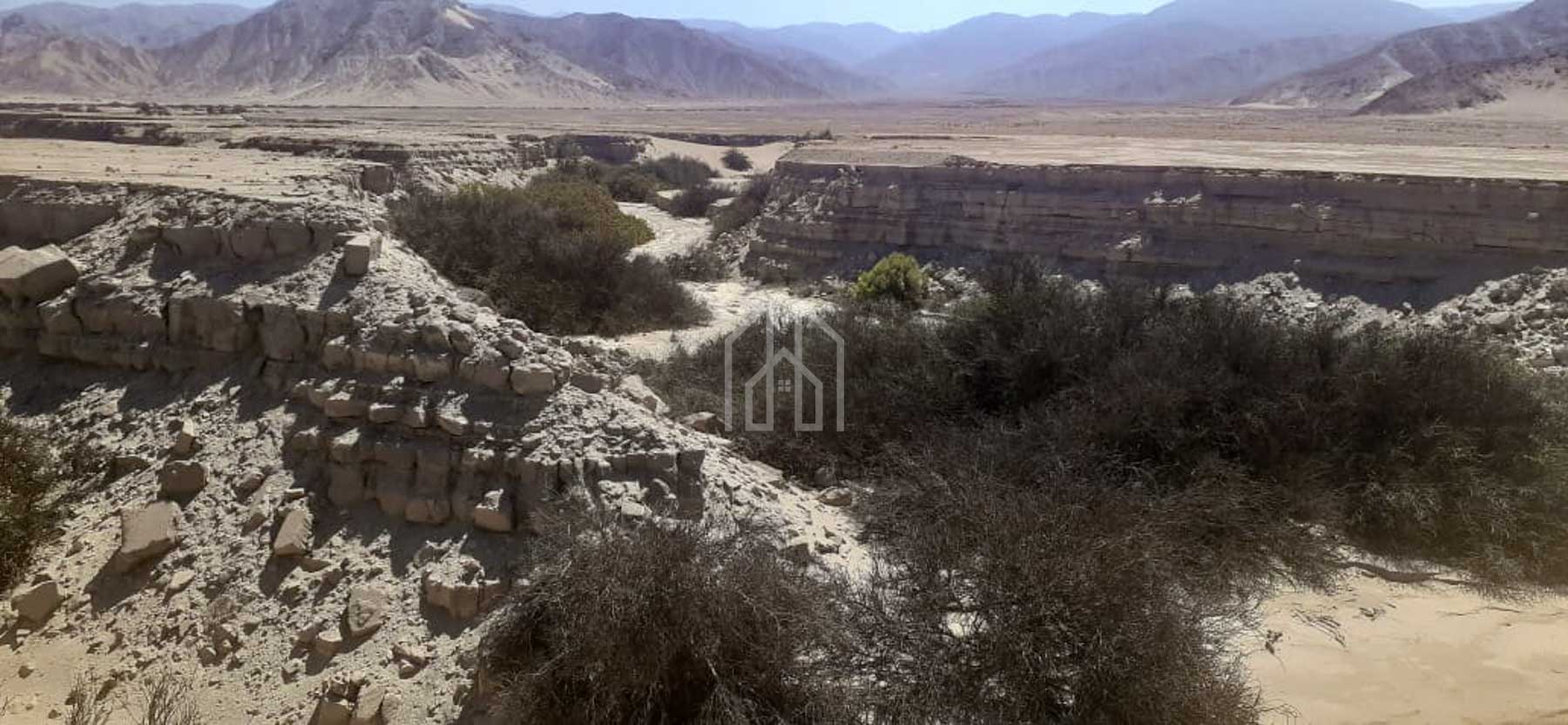 terreno en venta 1400 has en Ica-15