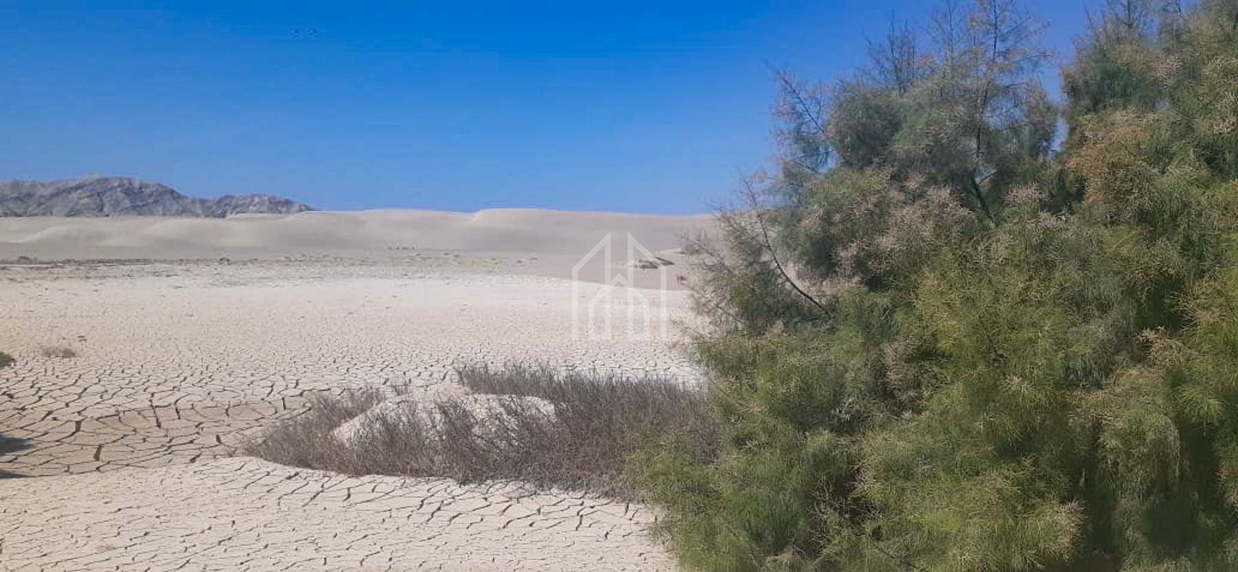 terreno en venta 1400 has en Ica-5