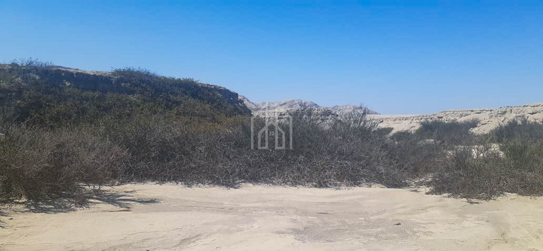 terreno en venta 1400 has en Ica-9