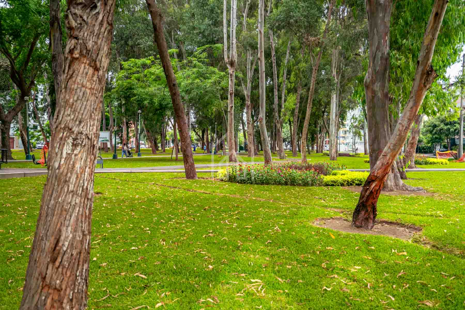 departamento en venta en san isidro parque sur-41