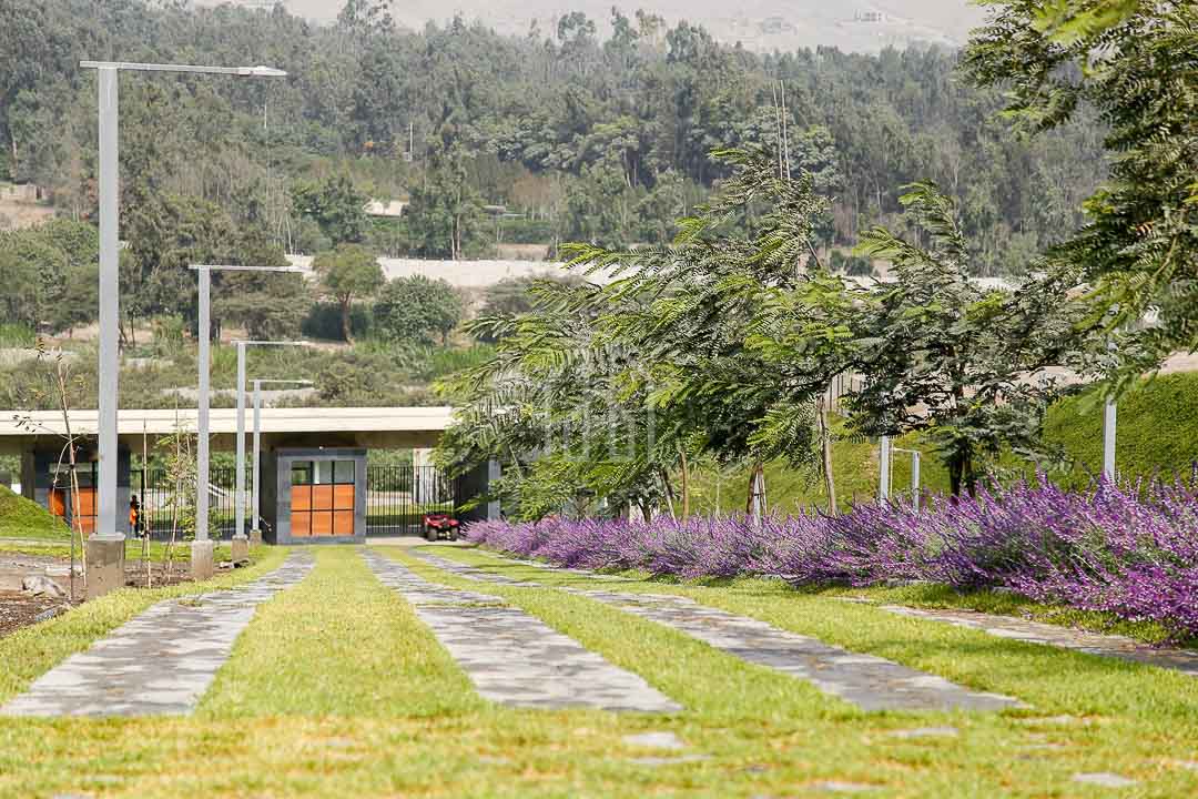 Terreno en Cieneguilla | Condominio
