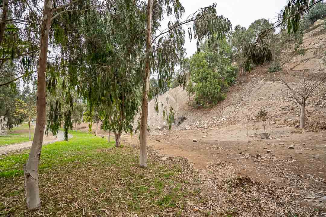 Terreno en venta cieneguilla condominio Rio Sol-30
