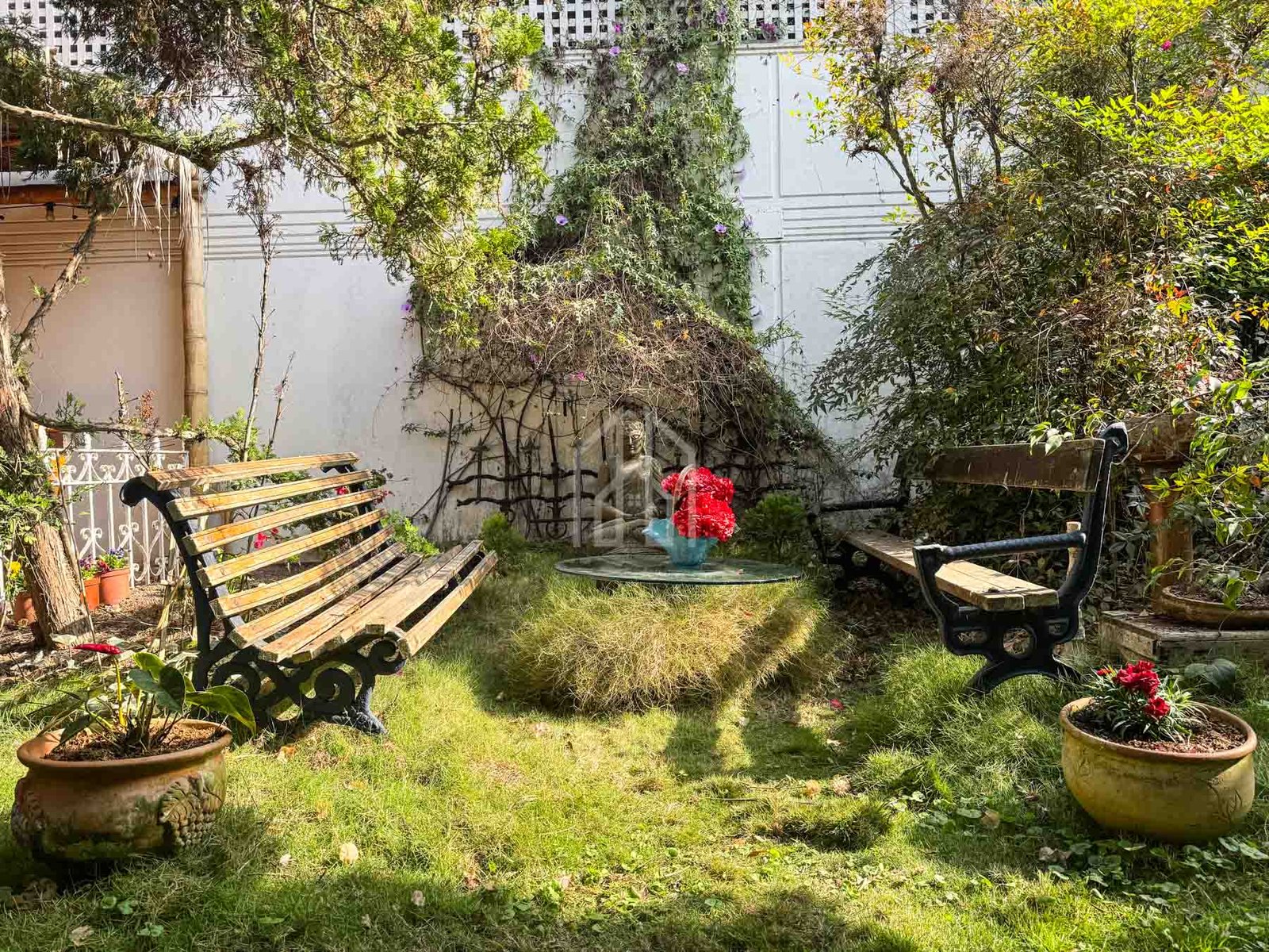 casa paul h-1