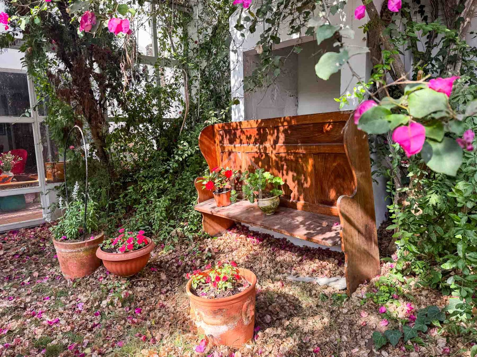 casa paul h-3